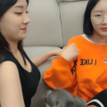 저거 개 아님.gif